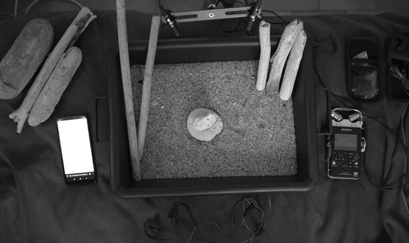 Recording Foley sound effects using Sony D100 and stereo Uši microphones